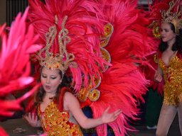 Carnaval de Mula 2012